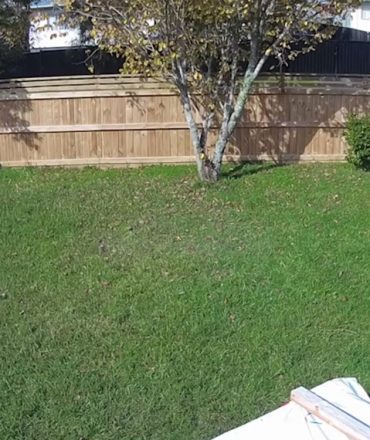 garage timelapse cover